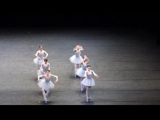 the funniest ballet i've ever seen