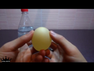 what happens if you put an egg in vinegar